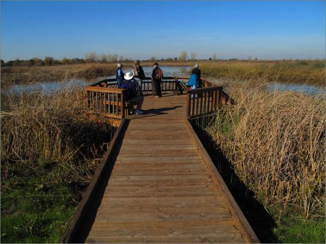 sm 2009.11.01.19  Cosumnes.jpg - End of the boardwalk overlooking the marsh on the Preserve's west side.